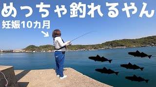 臨月の嫁に軽い運動で釣りさせたらめっちゃ釣りました！？