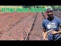 Onions farming: How to setup onions seedlings raising Nursery  (Epd 2)