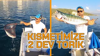 GEMLİK KÖRFEZİNDE DEV TORİK AVI