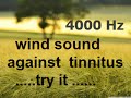 One hour wind at 4000 Hz as sound therapy for tinnitus