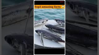 top3 intresting facts 😱||💥 unknown facts 💥||⚡ Naveen telugu facts #shorts #facts #telugufacts #viral