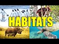 ANIMAL HABITATS | Learn about Grasslands, Forests, Tundra, Desert, Rainforest, Mountains, Oceans