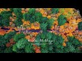 instrumental autumn🌾sentimental piano with autumn vibes