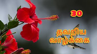 தவறிய வாழ்க்கை -30