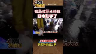 日本排氚水 核海鮮已來台？”一招“要懂辨認【#民間特偵組】