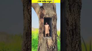 গাছের মধ্যে ঘর #shorts #comedy #funny