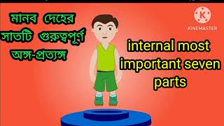 human body parts/মানবদেহের অঙ্গ-প্রত্যঙ্গ/internal parts of human body @Tuning-of-life9417