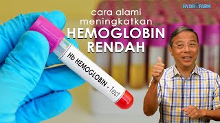 Cara Alami Meningkatkan HEMOGLOBIN (Hb DARAH) RENDAH !!