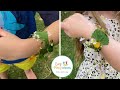 5 Nature Crafts for Kids | 5 Nature Activities for Kids | Nature Activities