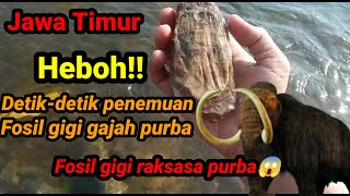 Heboh!! detik-detik penemuan fosil gigi gajah purba di lamongan Jawa Timur