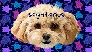 SAGITTARIUS 🖤 A SOLID MESSAGE FROM THE ENTITY!