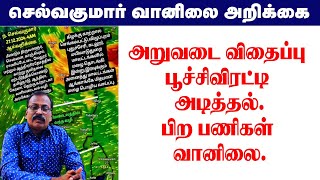 அறுவடை விதைப்பு பூச்சிவிரட்டி அடித்தல்.பிற பணிகள் வானிலை. #tamil_weather_news