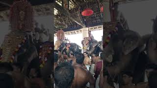 Koodalmanikyam thiruthsavam 2023