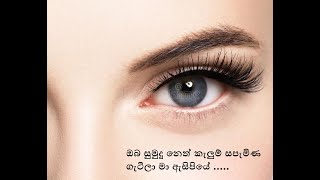 ඔබ සුමුදු නෙත් කැළුම් - W D අමරදේව (ගීත විචාරය)