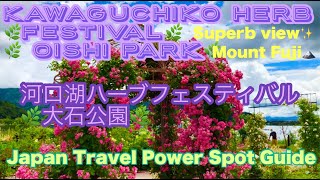 Kawaguchiko Herb Festival 🌿 Oishi Park❗️Superb view 🗻 Mount Fuji河口湖ハーブフェスティバル🌿大石公園✨絶景✨