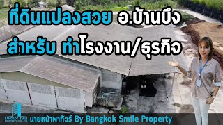 ขายที่ดินพร้อมสิ่งปลูกสร้าง (โรงงาน) ใน อ.บ้านบึง ถนนวิฑูรดำริ