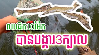 ឈ្មោះលបមុខ100 តែមានមុខតែ10 ដល់លើកមើលបានបង្គារ3 ចាហួយទឹកចង់5គីឡូ