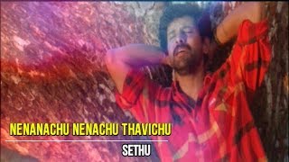 Nenachu Nenachu Thavichu | Sethu | IlayaRaja | Love Song
