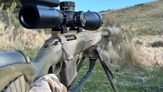 Hog Hunting overnight Mission | 223 at 950 yards | Tikka Varmint