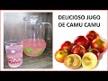 Como preparar el  REFRESCO de CAMU CAMU 🍒🍒