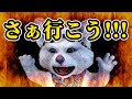 【阪神タイガース 虎ファン集まれ】 5 11 阪神タイガース 対 東京ヤクルトスワローズ 一緒に応援 阪神一球実況配信 阪神タイガース 伊藤将司