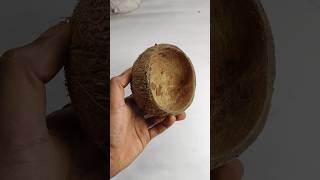 coconut shell craft ideas 😁 | coconut shell craft | #shortsfeed #trendingshorts #shorts