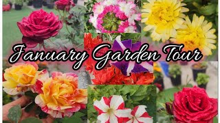 January 2025 ! Garden Tour ! ठंड से परेसान पौधे || winter garden overview