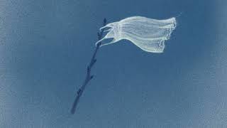 White Flag Dido Cover