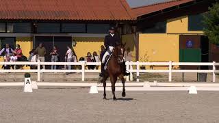 Dressage Intermediate A || Tiago Alves & Sir De Niro