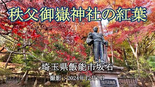 秩父御嶽神社の紅葉 [4K] Autumn leaves at Chichibu Mitake Shrine