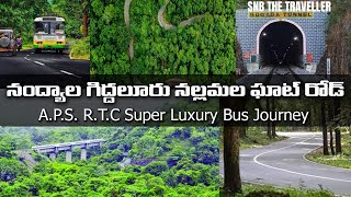 Giddalur To Namdyal Bus Journey || gdl to ndl bus journey by snb the traveller