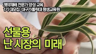 [672편] 무자본 연 660% 도전 계약 농 양성 신설 1기 대 모집! | 30,40,50 은퇴후 일자리 창출 신 모델 | 1,000명 한정 교육 *1기생 명명품 무료 증정*