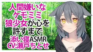 【添い寝】人間嫌いなケモミミ狼少女が心を許すまで【ASMR】CV 瀬戸ちとせ Until a chemomimi wolf girl who hates humans forgives her h