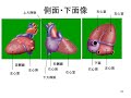 第４回　循環器　 part1　（医学概論）