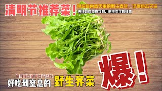 清明节：野生荠菜吃几顿，全家整年少生病