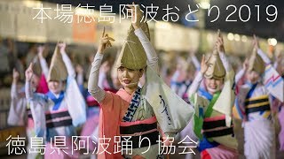 いけだ阿波おどり・徳島県阿波踊り協会①_20190816 本場徳島阿波おどり  Awaodori in Tokushima Japan