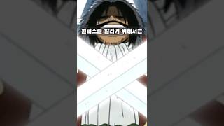 해적왕 로저의 숨겨둔 동료 (원피스)