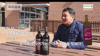 토종 산머루로 빚은 우리 와인 / 오크통과 옹기에 장기 숙성한 와인 / 산머루농원 머루드서