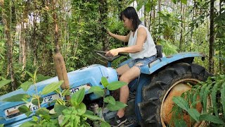 Genius girl repairs and recover abandoned tractor trailer