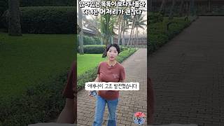 앉아있는 똑똑이 보다 나돌아 다니는 머저리가 괜찮다 #shorts #우간다 #호텔 #약육강식 #윤설미