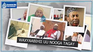 Shiikh Muuse Cadde Warbixin Ducumentary Ah Oo Aan Ka Diyaarinay Sidii Dunidaan Looga Sagootiye,