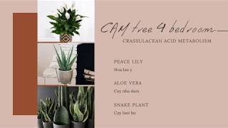 Coffee Talk - High5 Hanoi