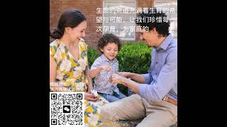 国内高端试管代孕机构|代孕咨询：ivf8931，了解代孕费用，代孕价格，代孕流程 #试管婴儿 #代孕多少钱 #代孕价格 #代孕咨询 #试管婴儿生儿子 #代孕公司 #代孕费用 #代孕包成功