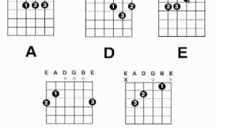 BCG-008: How To Read A Chord Diagram