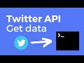 How to connect to Twitter API 2021 | #2 GET DATA