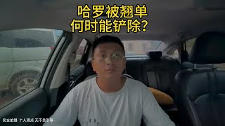 哈罗顺风车翘单，什么时候才能铲除？跑车已经够难了顺风车 网约车 拼车 哈罗顺风车