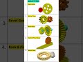 types of gear gear geartype gearbox