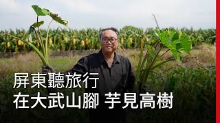 屏東聽旅行：在大武山腳 芋見高樹｜廣編企劃