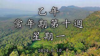 #陳神父默思日記 | 乙年常年期第十週 星期一 | 講者 : 陳新偉神父 2024.6.10