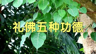 礼佛五种功德    ~圣开导师  著 述 《法雨缤纷》  [唯佛宗世界人乘佛教]